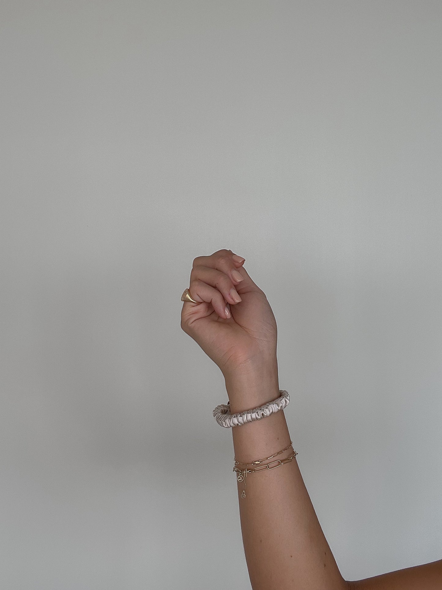 Small Luxe Silk Scrunchie